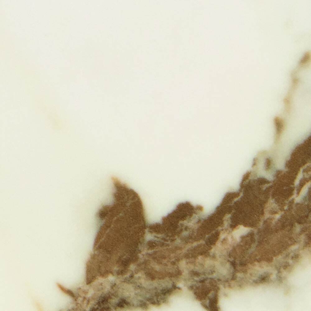 Gres calacatta C101